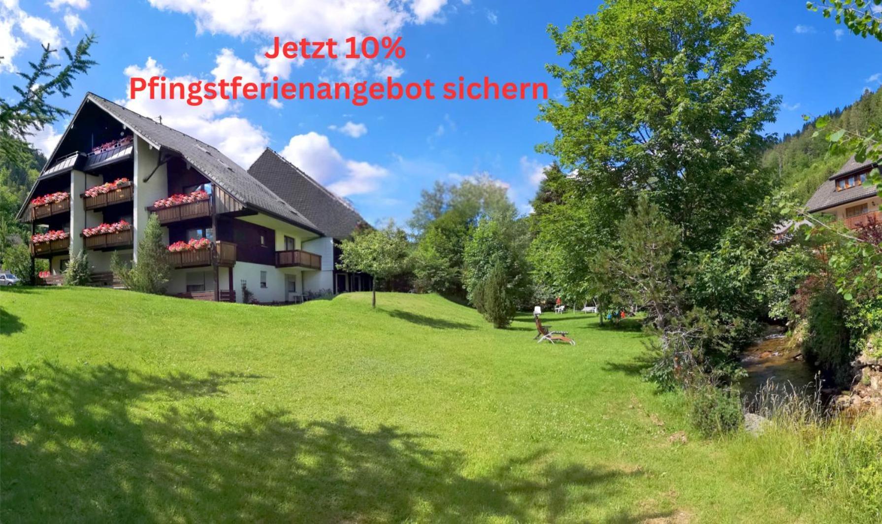 Naturidyll Am Fluss - Ferienhaus Albmatte - Grosser Garten Zum Grillen Und Entspannen-Direkt Neben Dem Radon Revitalbad Mit Sauna Und Thermalbecken St. Blasien Exterior foto